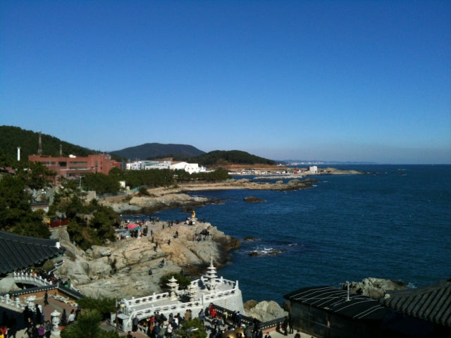 韓国で話題沸騰!ファッションブランドのSJYPについて解説!