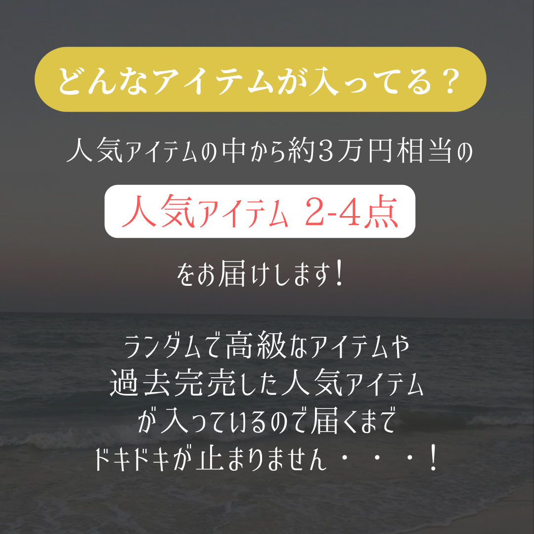 【即日発送】全額返金付き!超人気Happy Bag