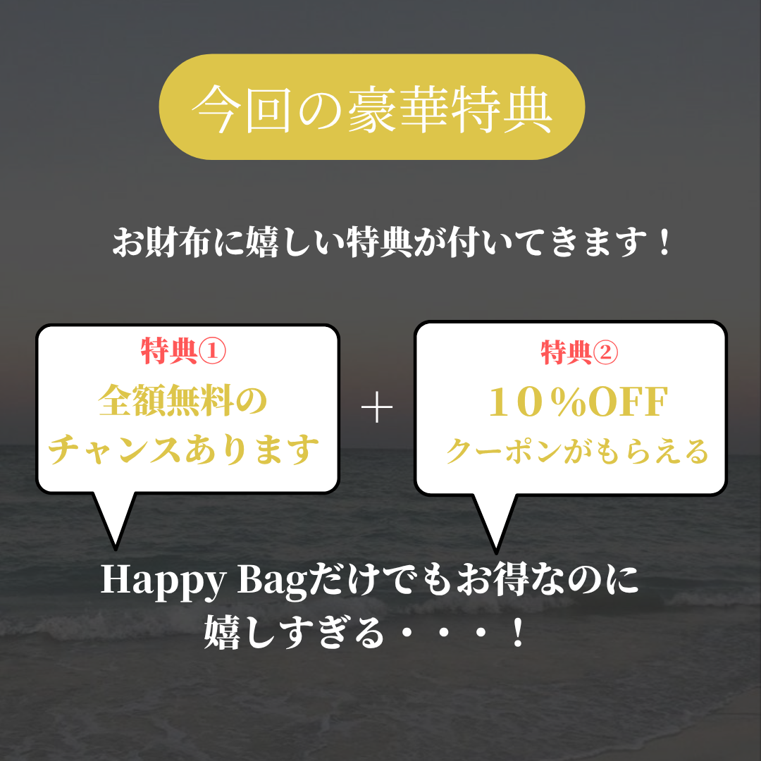 【即日発送】全額返金付き!超人気Happy Bag