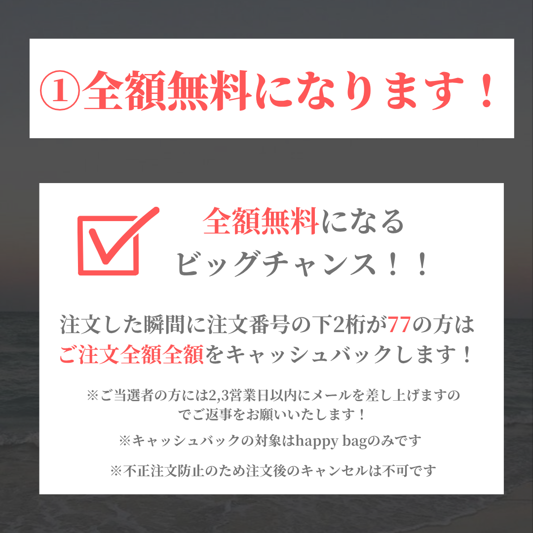 【即日発送】全額返金付き!超人気Happy Bag