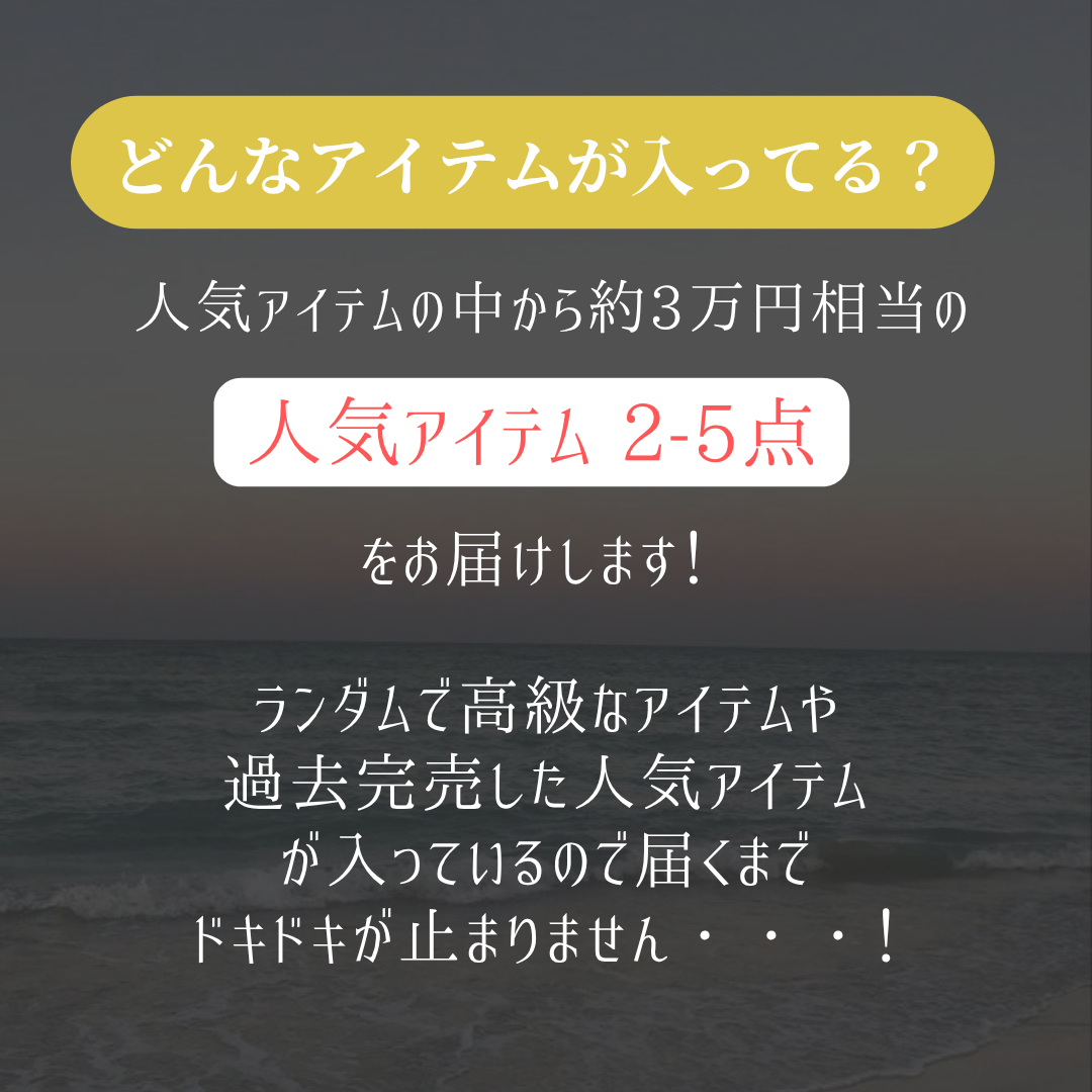 【即日発送】全額返金付き！超人気Happy Bag